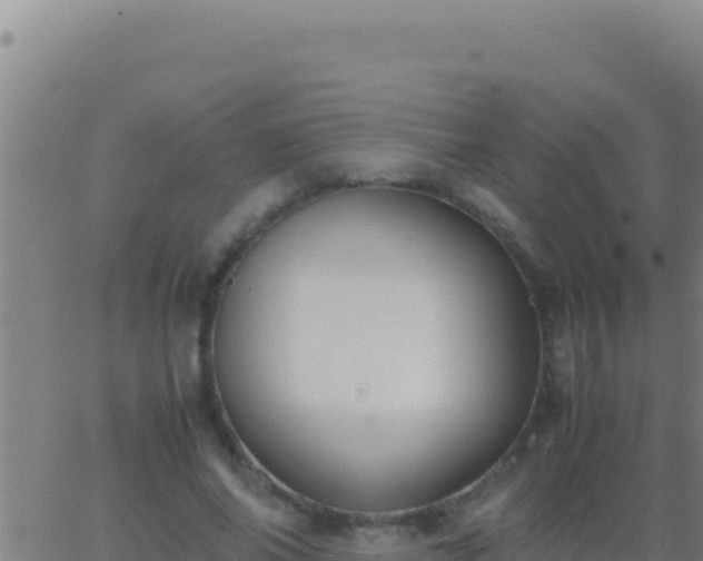 X0000062930686200601202027