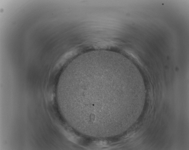 X0000062930687200601202027