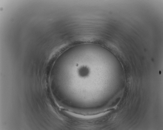 X0000062930688200601202027