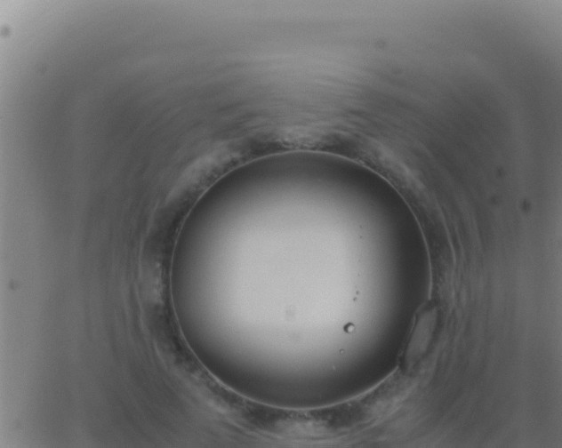 X0000062930689200601202027