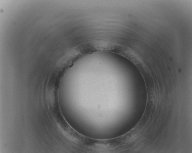 X0000062930690200601202027