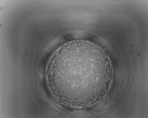 X0000062930691200601202027