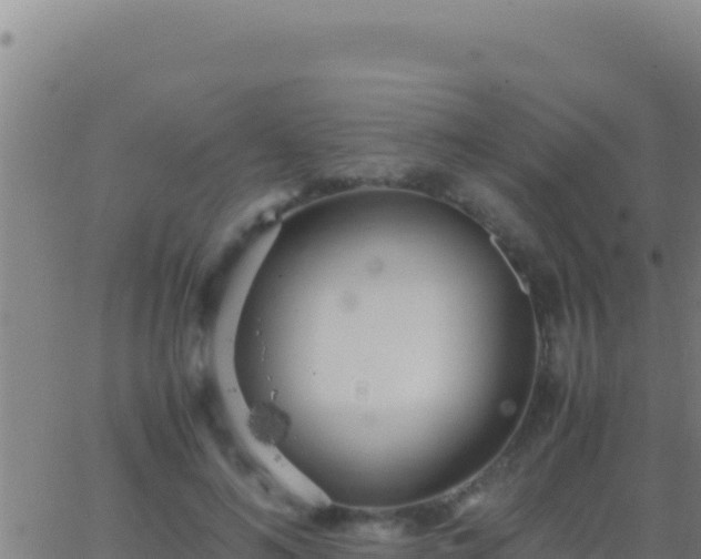 X0000062930692200601202027