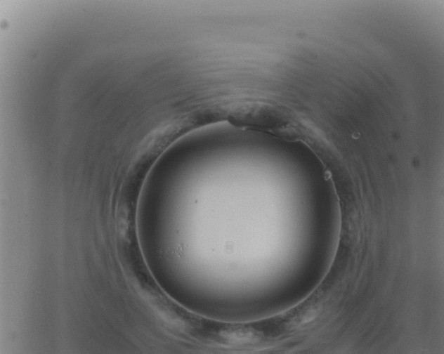 X0000062930693200601202027