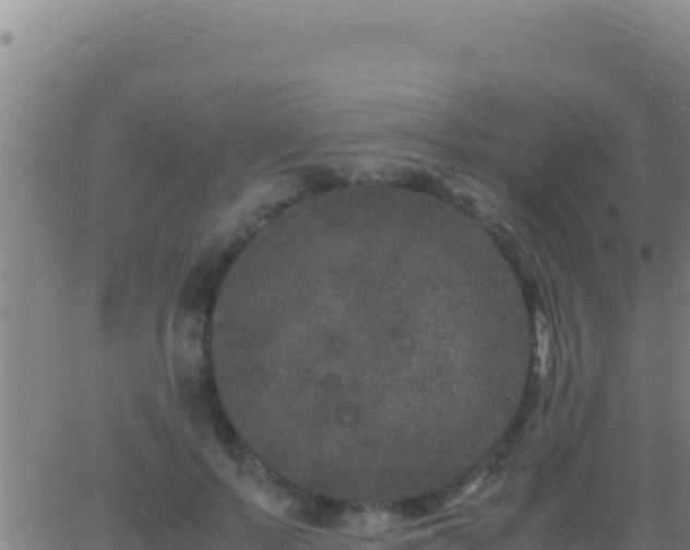 X0000062930695200601202027