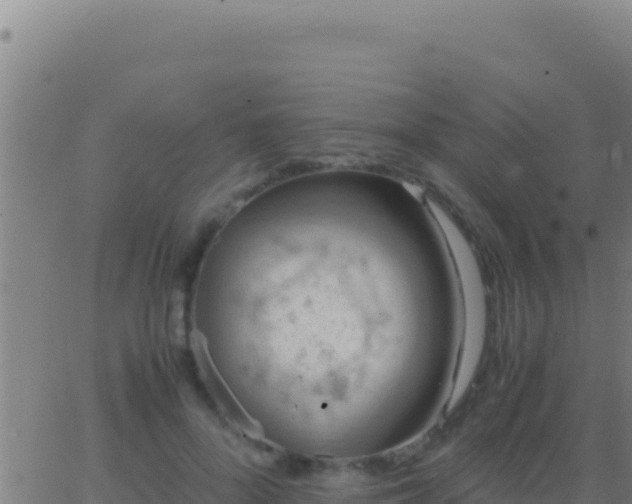 X0000062930696200601202027