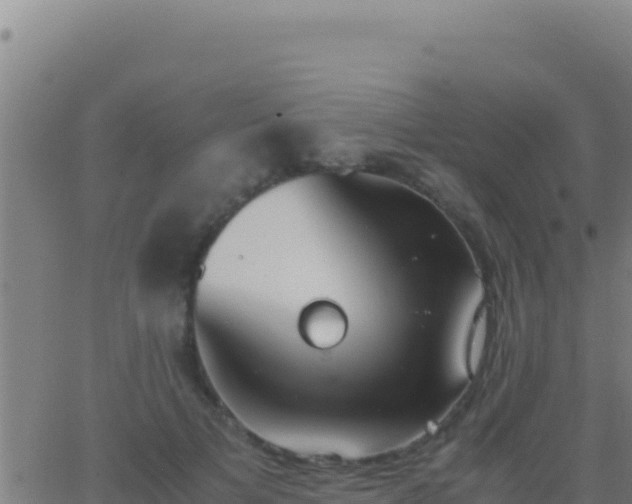 X0000062930697200601202027