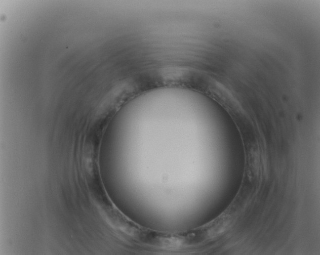 X0000062930698200601202027