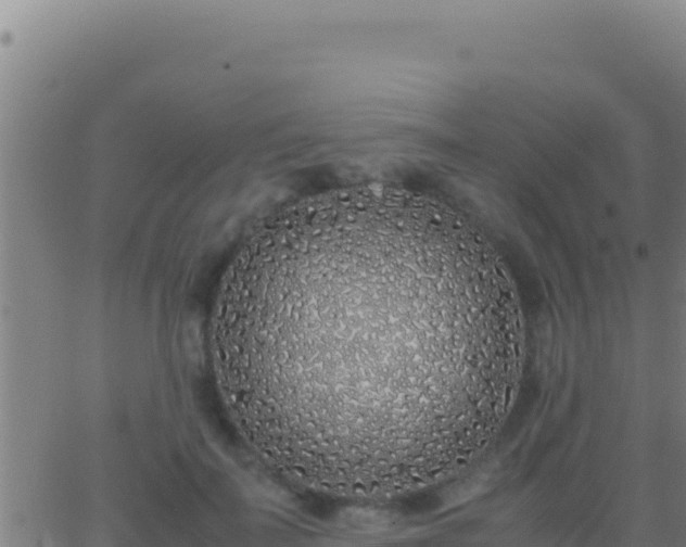 X0000062930699200601202027