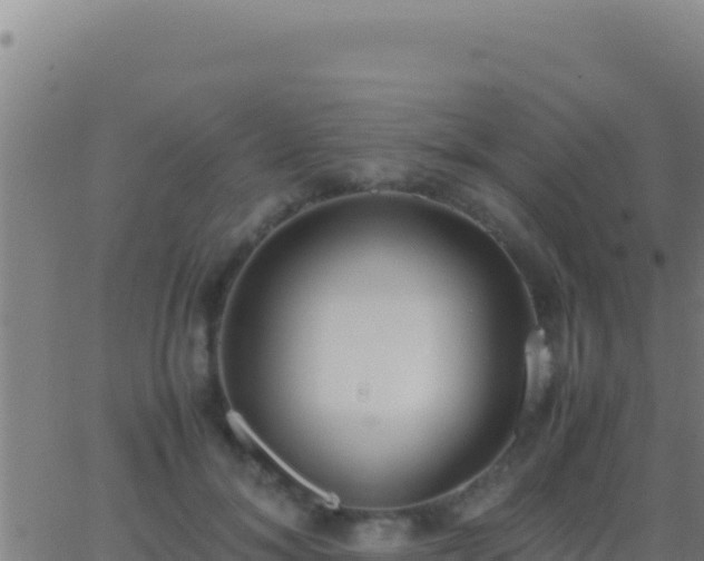 X0000062930700200601202027