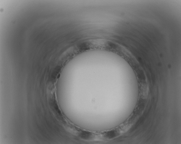 X0000062930701200601202027