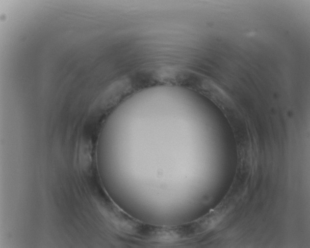 X0000062930702200601202027