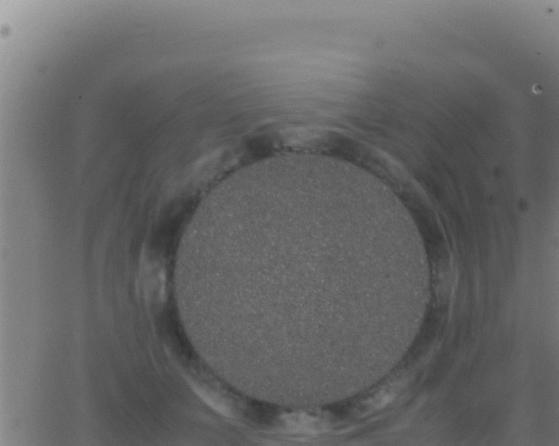 X0000062930703200601202027