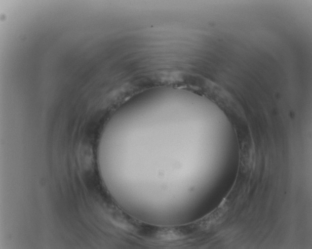 X0000062930704200601202027