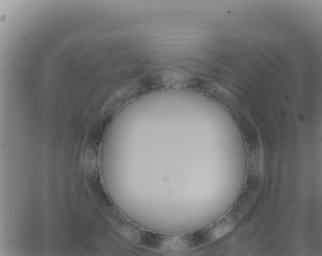 X0000062930705200601202027