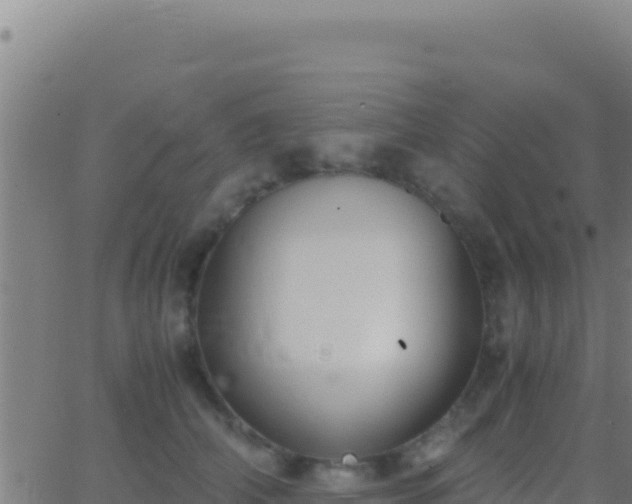 X0000062930706200601202027