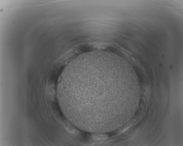 X0000062930707200601202027