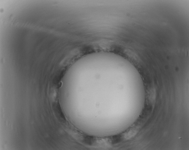 X0000062930709200601202027