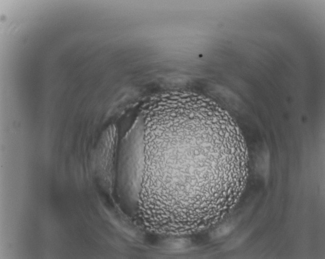 X0000062930711200601202027