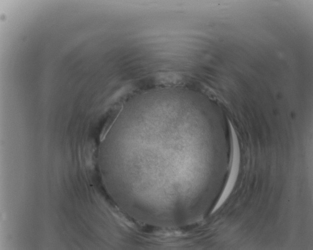 X0000062930712200601202027