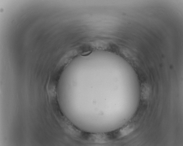 X0000062930713200601202027