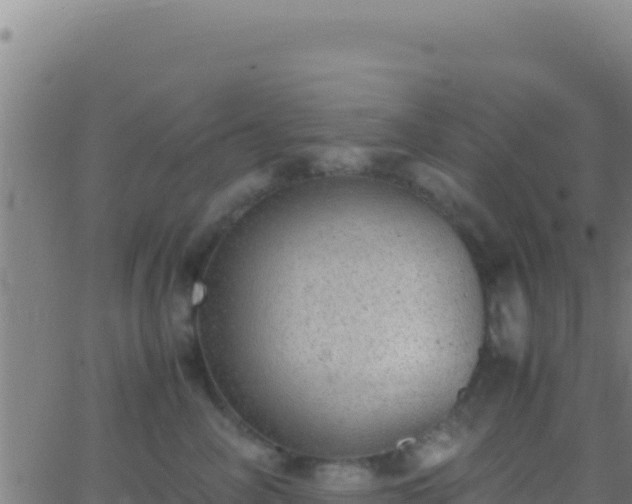 X0000062930714200601202027