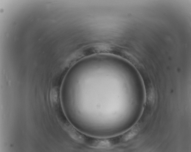 X0000062930715200601202027