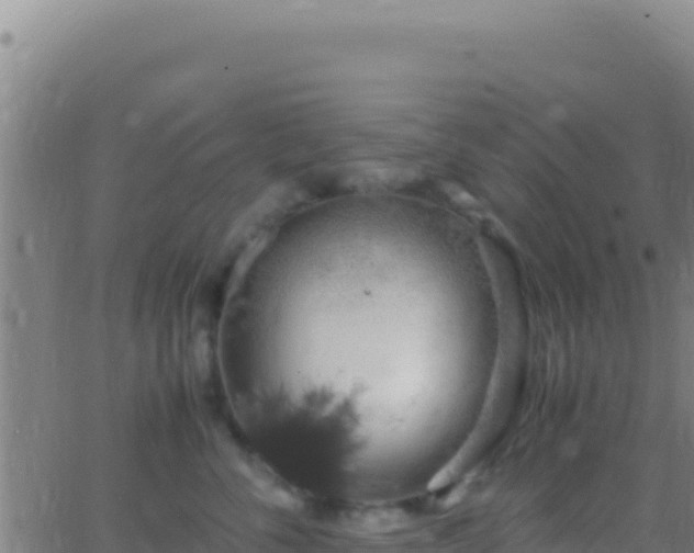 X0000062930716200601202027