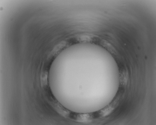 X0000062930717200601202027