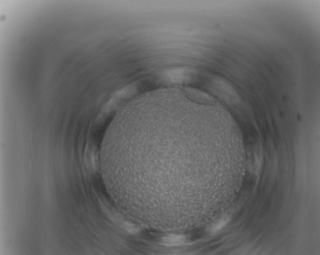 X0000062930718200601202027