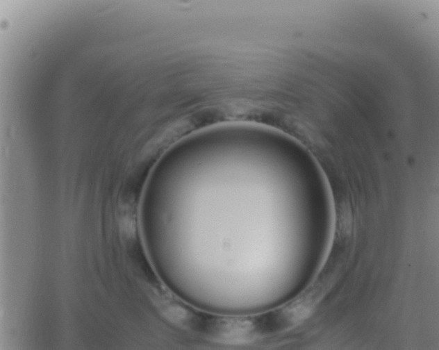 X0000062930719200601202027