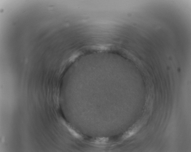 X0000062930720200601202027