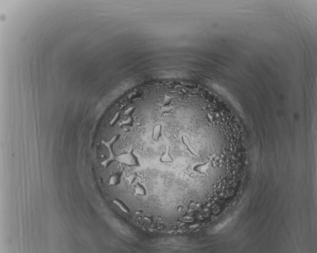 X0000062930721200601202026