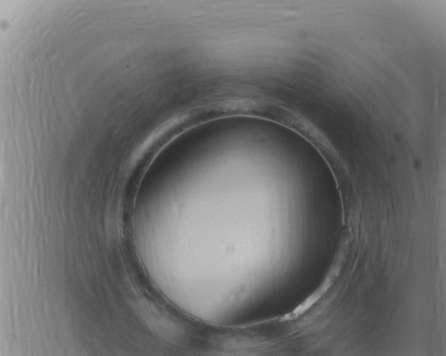 X0000062930722200601202026