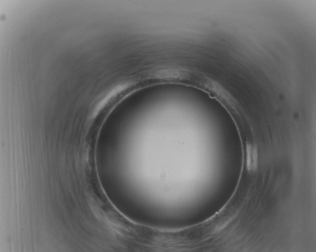 X0000062930723200601202026