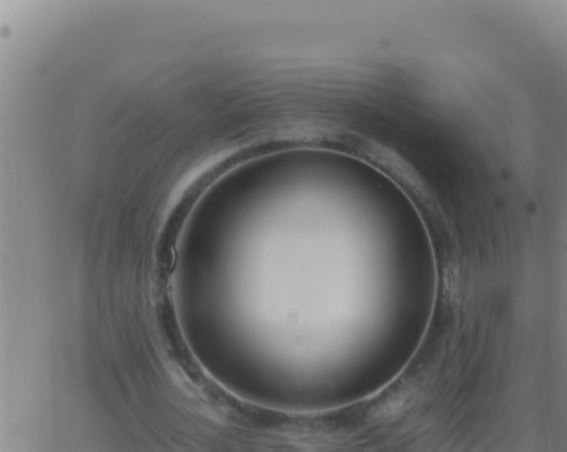 X0000062930724200601202026