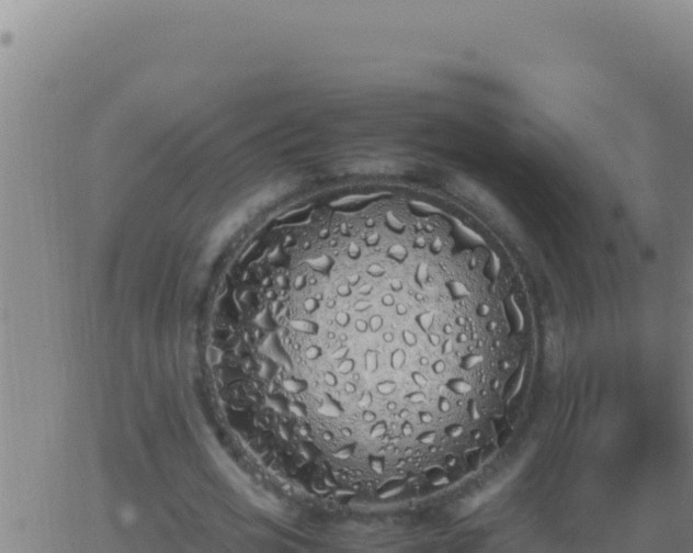 X0000062930725200601202026