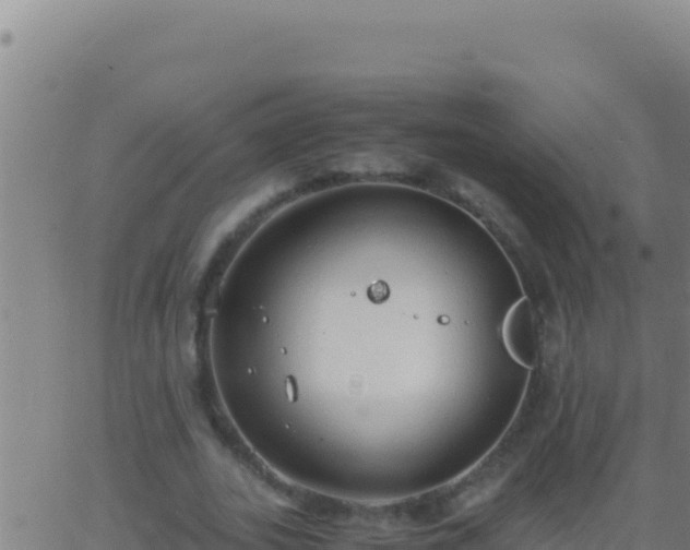 X0000062930727200601202026