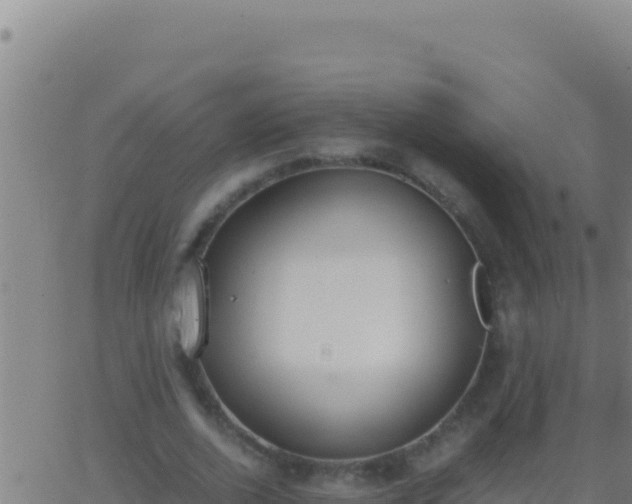 X0000062930728200601202026