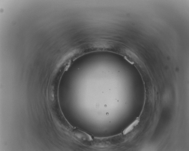 X0000062930731200601202026