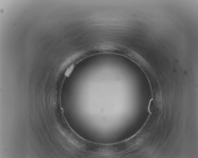 X0000062930732200601202026