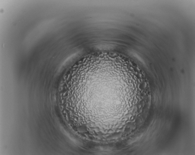 X0000062930733200601202026