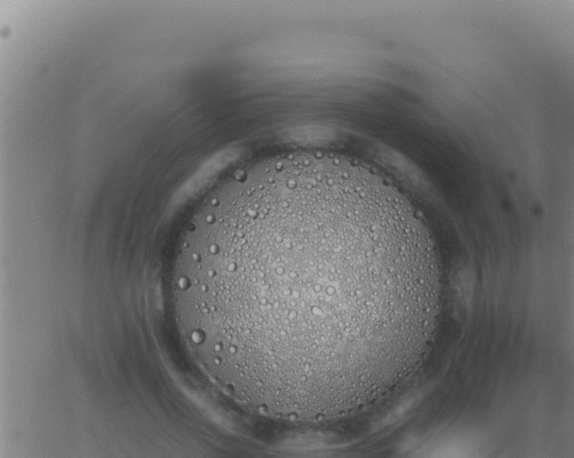 X0000062930734200601202026