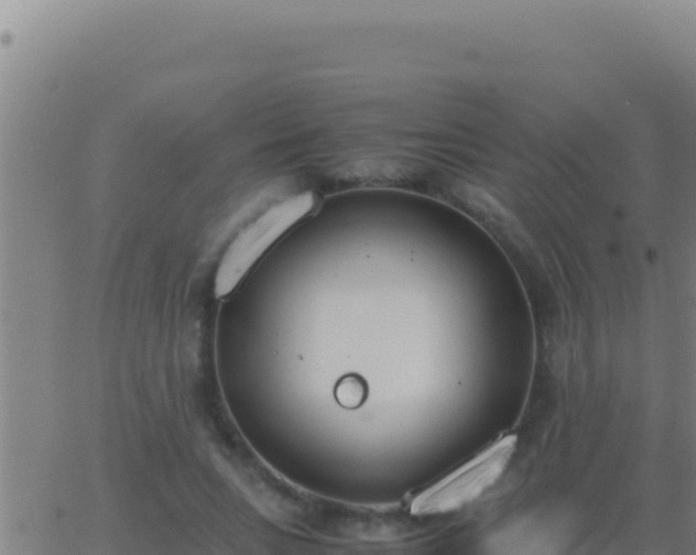 X0000062930735200601202026