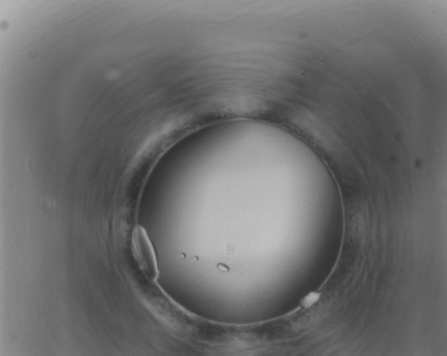 X0000062930736200601202026