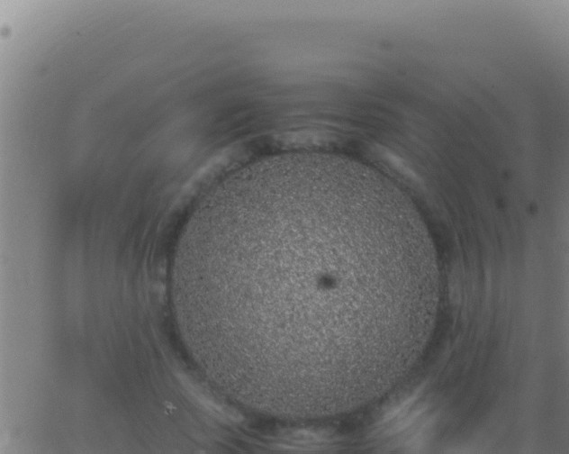 X0000062930737200601202026