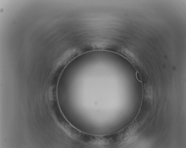 X0000062930738200601202026