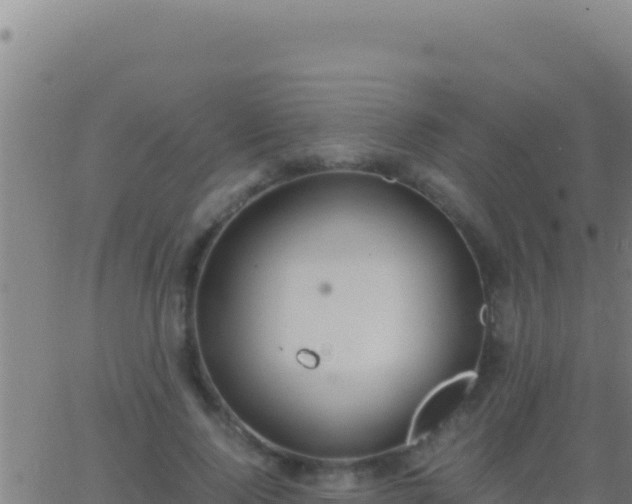 X0000062930740200601202026