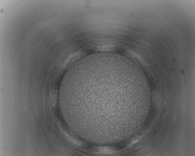 X0000062930741200601202026