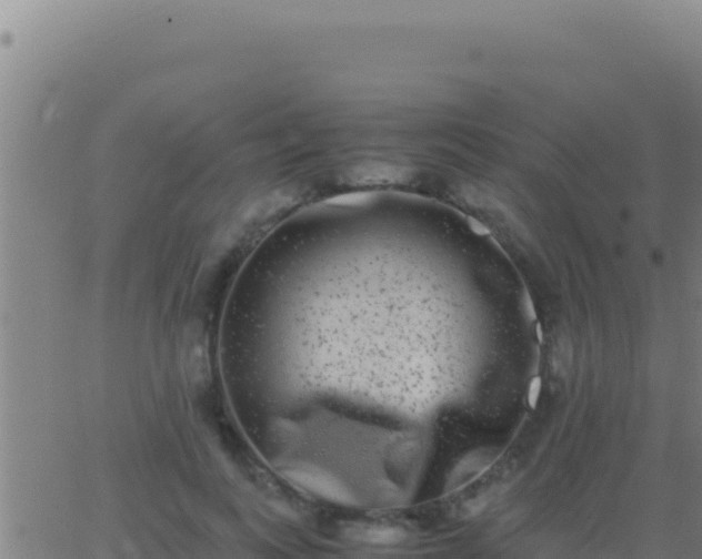 X0000062930743200601202026